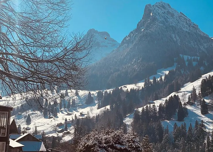 Blueemlisalp-huus Im Kiental